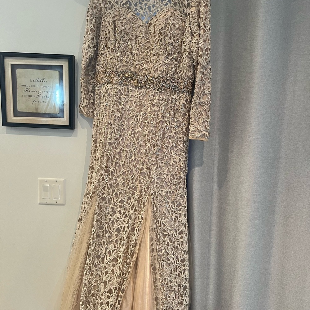 Elegant Lace Evening Gown